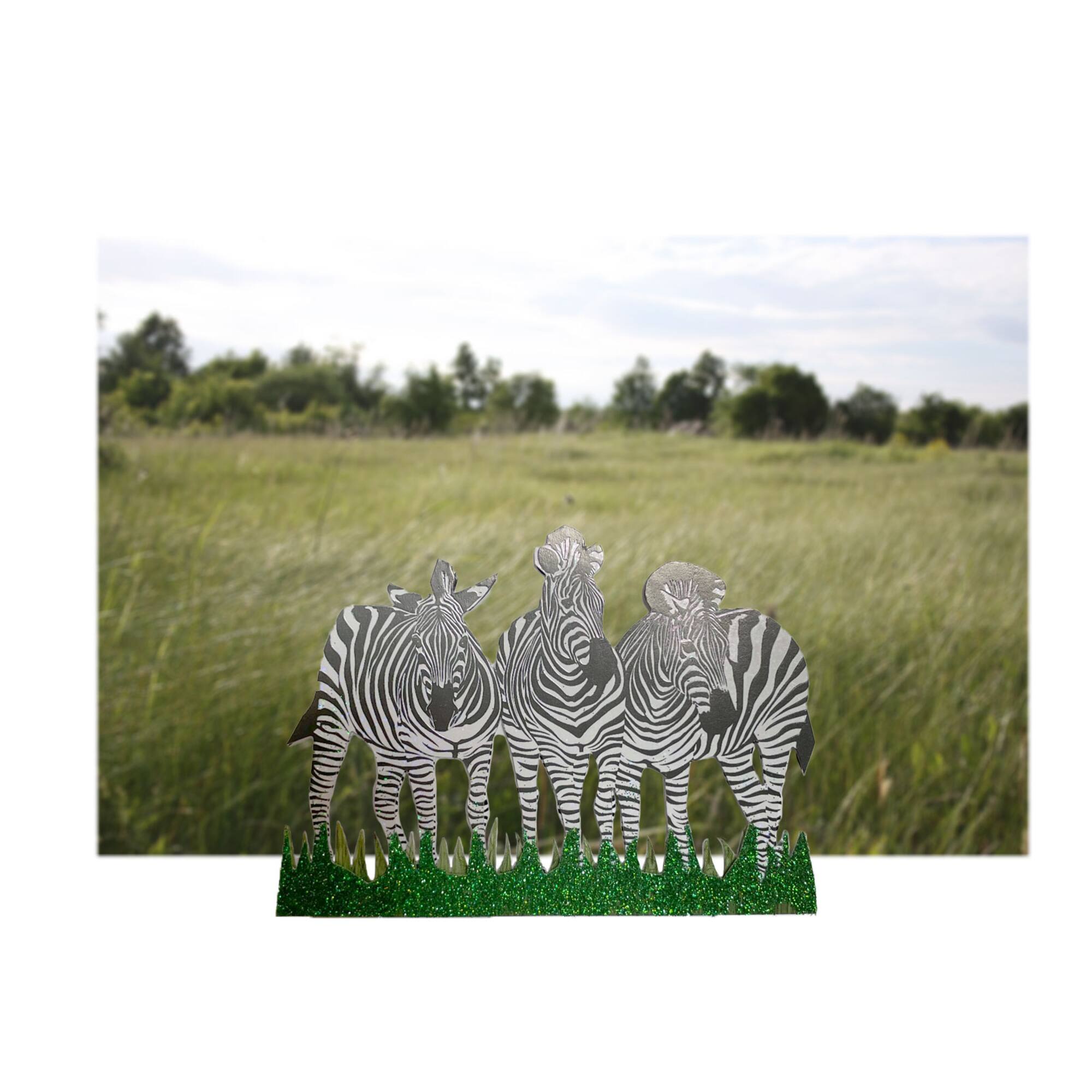 Zebra Stickers by Recollections™